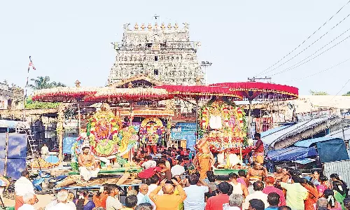 கடலூர் திருப்பாதிரிபுலியூர் பாடலீஸ்வரர் கோவிலில் கைலாச வாகனத்தில் கோபுர தரிசனம்