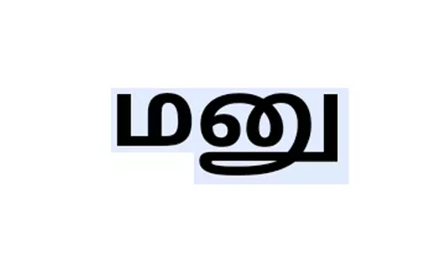 பெரம்பலூர் மாவட்டத்தில் சிறப்பு மனு விசாரணை முகாமில் 65 மனுக்களுக்கு உடனடி தீர்வு