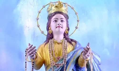 புனித அடைக்கல அன்னை ஆலய திருவிழா