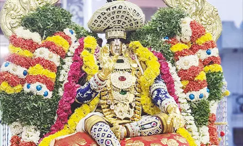 எமனேசுவரம் வரதராஜ பெருமாள் கோவில் வைகாசி திருவிழா