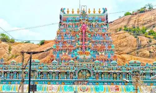 வைகாசி விசாக திருவிழா: திருப்பரங்குன்றத்தில் அபிஷேக பால் குழாய் வழியாக பக்தர்களுக்கு கிடைக்க ஏற்பாடு