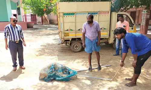 நெல்லை மண்டலத்தில் பொதுமக்களை அச்சுறுத்திய 20 நாய்கள் பிடிபட்டது