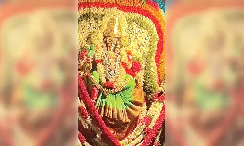 தென்னம்புலம் மழை மாரியம்மன் கோவிலில் வைகாசி விசாக திருவிழா