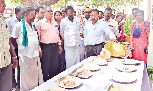 சீர்காழியில், மரபுசார் பன்முகத்தன்மை கண்காட்சி- கருத்தரங்கம்; கலெக்டர் பார்வையிட்டார்