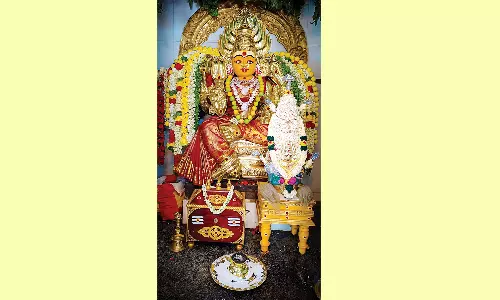 நத்தம் அருகே செல்வவிநாயகர் கோவில் திருவிழா