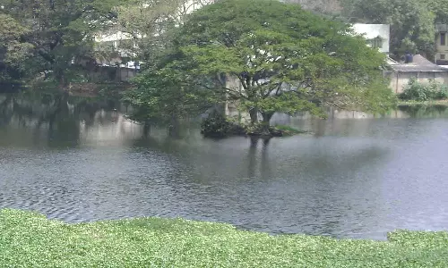 சேத்துப்பட்டு ஏரிக்கு அடியில் இந்த ஆண்டு இறுதிக்குள் சுரங்கம் தோண்டும் பணி தொடங்கும்- அதிகாரிகள் தகவல்