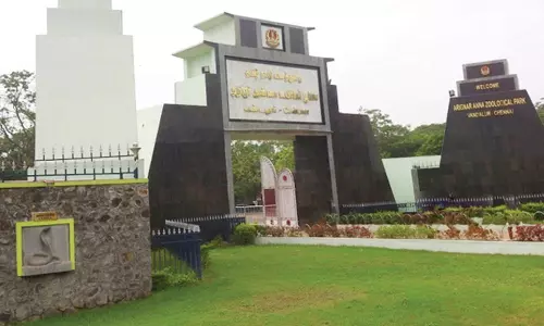 வண்டலூர் உயிரியல் பூங்காவில் சிங்கம் சபாரி 2 நாளில் தொடக்கம்