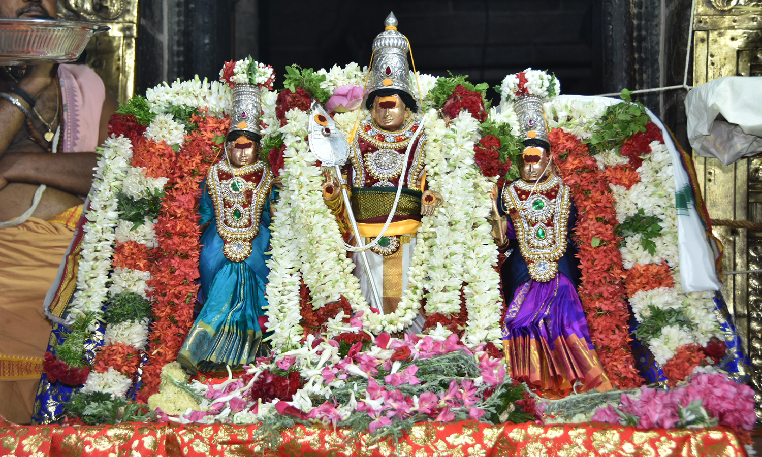 பழனி கோவிலில் இன்று வைகாசி விசாக திருவிழா தேரோட்டம்: காவடியுடன் குவிந்த பக்தர்கள்