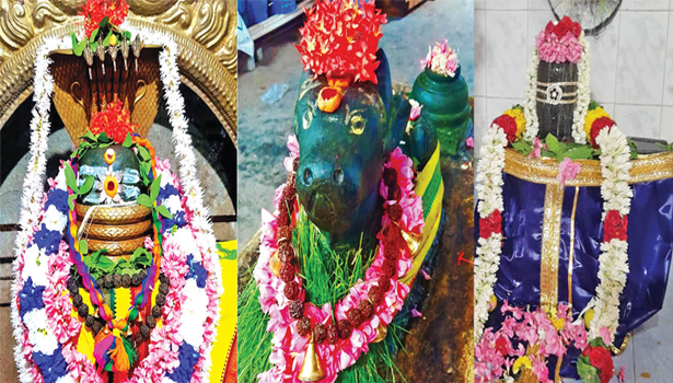 பரமத்திவேலூர் பகுதி சிவன் கோவில்களில் பிரதோஷ வழிபாடு