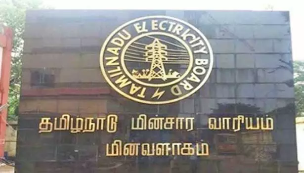 தென்மேற்கு பருவக்காற்று தொடங்க உள்ளதால் மின் பாதைகளுக்கு இடையூறாக செல்லும் மரக்கிளைகளை அகற்ற வேண்டும்- அதிகாரி உத்தரவு தென்மேற்கு பருவக்காற்று தொடங்க உள்ளதால் மின் பாதைகளுக்கு இடையூறாக செல்லும் மரக்கிளைகளை அகற்ற வேண்டும்- அதிகாரி உத்தரவு