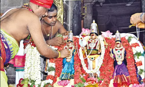 பழனி முருகன் கோவிலில் அரோகரா கோஷம் முழங்க முத்துக்குமாரசுவாமி வள்ளி-தெய்வானை திருக்கல்யாணம்