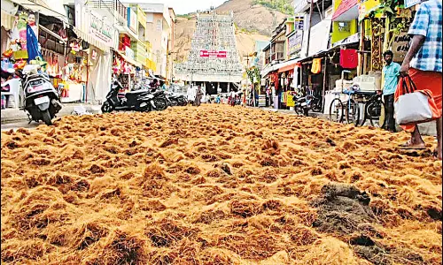 திருப்பரங்குன்றத்தில் பால்குடம் சுமந்துவரும் பக்தர்களுக்கு ``தென்னைநார் விரிப்பான் வசதி
