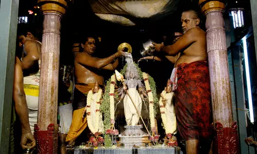 வைகாசி விசாகம்: முருகனுக்கு நடக்கும் அபிஷேகத்தை பார்த்தால் தீரும் பிரச்சனைகள்...