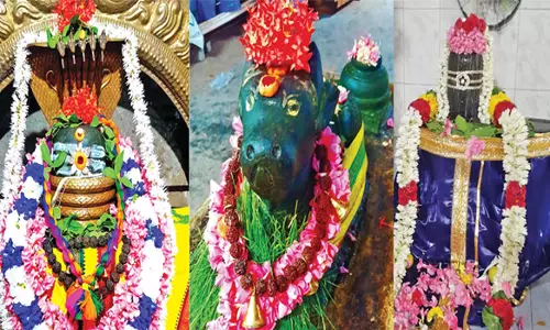 பரமத்திவேலூர் பகுதி சிவன் கோவில்களில் பிரதோஷ வழிபாடு