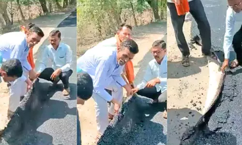 பாயை போல் புதிதாக போடப்பட்ட தார் சாலையை சுருட்டும் கிராம மக்கள்- வைரலாகும் வீடியோ
