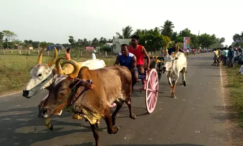 அறந்தாங்கி அருகே மத நல்லிணக்க மாட்டுவண்டி எல்கை பந்தையம்