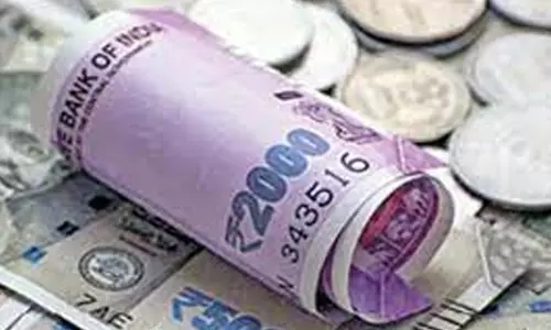 தீவன பயிர்களை ஊடுபயிராக பயிரிட ரூ.3 ஆயிரம் மானியம்