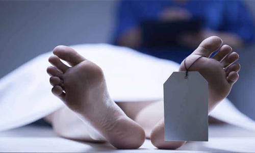 அம்மன் கோவில் தேர் சக்கரத்தில் சிக்கிய தொழிலாளி சாவு