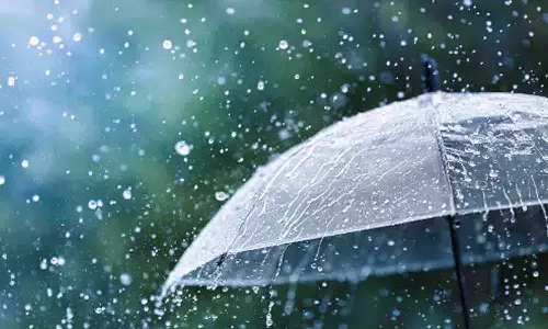 பெருமாநல்லூரை குளிர்வித்த மழை