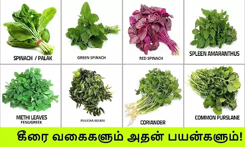 கீரைகளும், அதில் உள்ள சத்துக்களும்..