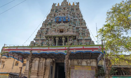 கூடலழகர் பெருமாள் கோவில் தேரோட்டம் நாளை நடக்கிறது