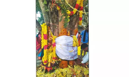 கோவையில் மழை பெய்ய வேண்டி அரசம்-வேப்ப மரத்திற்கு திருமணம் செய்து வைத்த மக்கள்