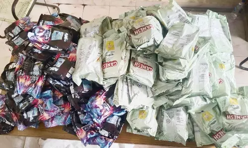 புகையிலை பொருட்கள் பறிமுதல்; கடை உரிமையாளர் கைது