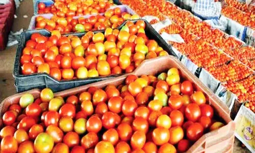 வேலூர் மார்க்கெட்டில் வரத்து குறைவால் தக்காளி ரூ.40-க்கு விற்பனை