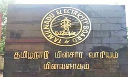 தென்மேற்கு பருவக்காற்று தொடங்க உள்ளதால் மின் பாதைகளுக்கு இடையூறாக செல்லும் மரக்கிளைகளை அகற்ற  வேண்டும்- அதிகாரி உத்தரவு