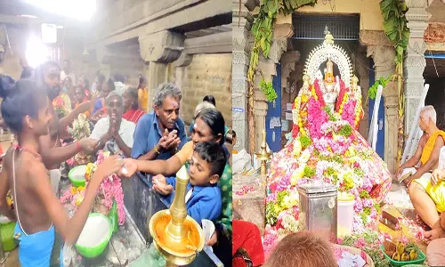 வைகாசி விசாக திருவிழா -  நெல்லை முருகன் கோவில்களில் சிறப்பு வழிபாடு