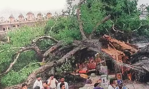 திருப்பதி கோவிந்தராஜ சாமி கோவிலில் மரம் விழுந்து மகள் கண் முன்னே டாக்டர் பலி