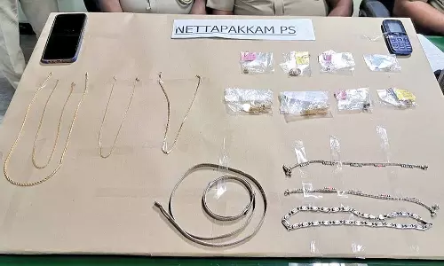 கட்சி கொடியுடன் சொகுசு காரில் வந்து கைவரிசை காட்டிய அமாவாசை திருடர்கள்