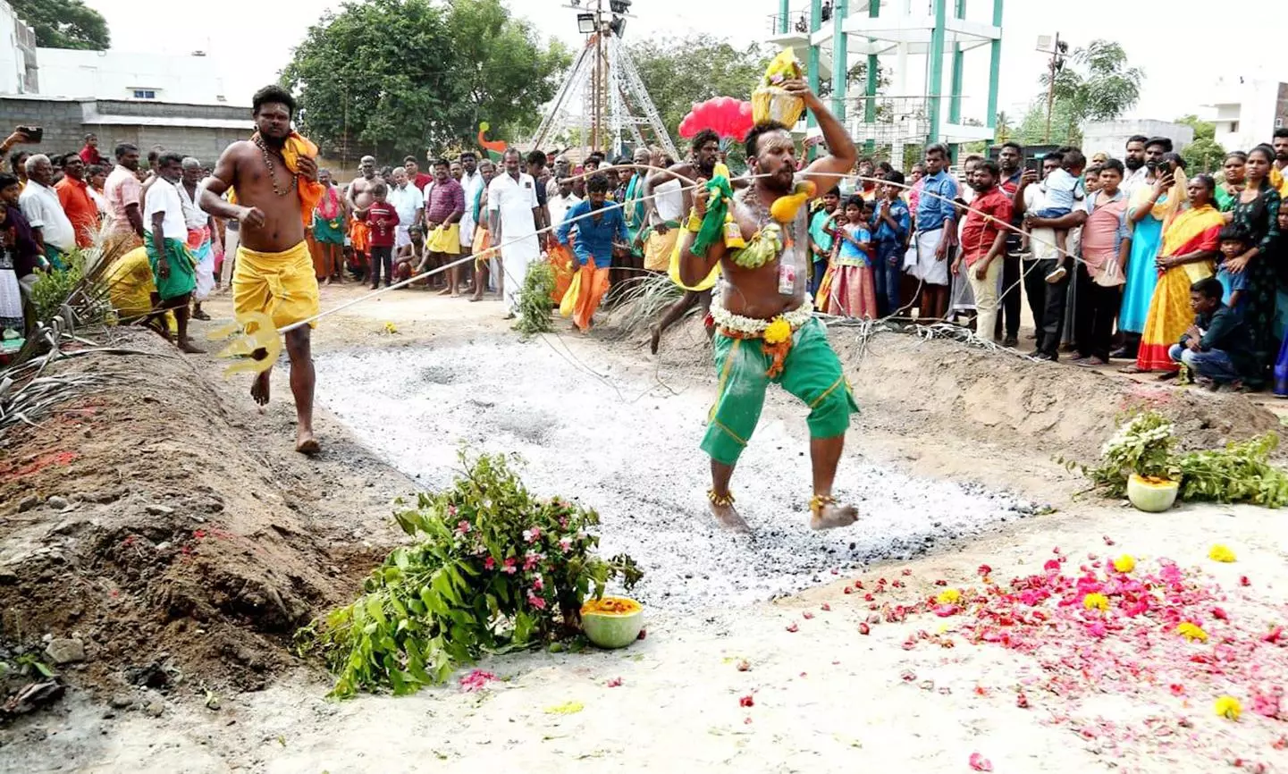 பாலதண்டாயுதபாணி கோவிலில் பூக்குழி இறங்கிய பக்தர்கள்