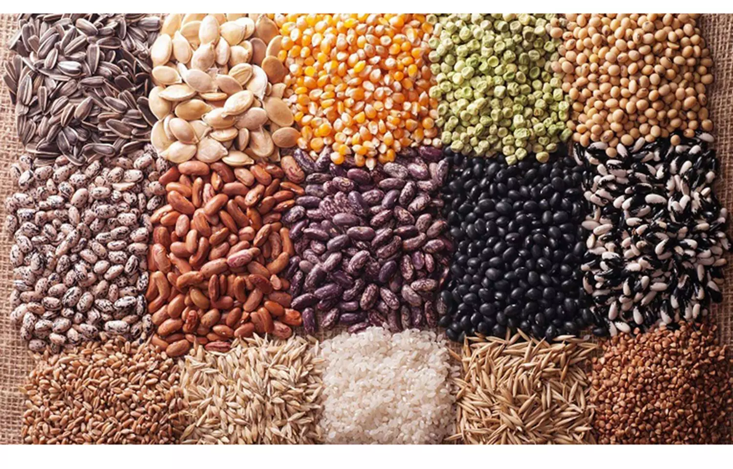 மானிய விலையில் விதைகள் பெற விவசாயிகளுக்கு அழைப்பு மானிய விலையில் விதைகள் பெற விவசாயிகளுக்கு அழைப்பு