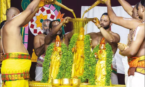 திருப்பதி கோவிலில் ஜேஷ்டாபிஷேகம் தொடக்கம்: வஜ்ர கவசத்தில் உற்சவர்கள் வீதிஉலா