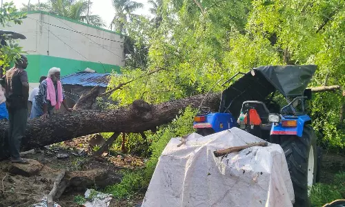 சூறாவளி காற்றுடன் கனமழை: 10 மின்கம்பங்கள் சாய்ந்தன- மின்சாரம் இல்லாமல் பொதுமக்கள் தவிப்பு