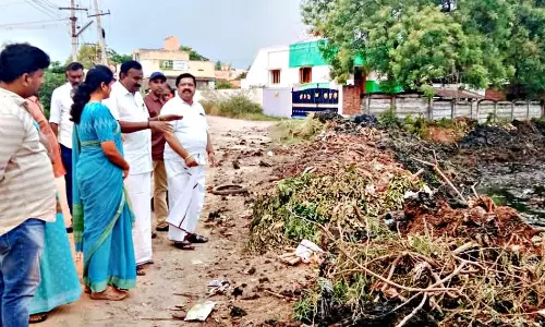 தூர்வாரப்பட்ட நீரோடைகள்