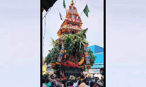 சாம்பவர்வடகரை ராமசாமி கோவில்  வைகாசி விசாக தேரோட்டம்- திரளான பக்தர்கள் பங்கேற்பு