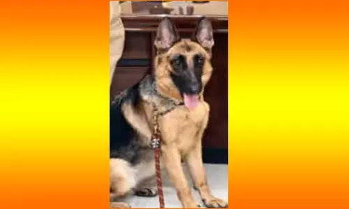 பெண் மோப்பநாய் `சாரா வருகை