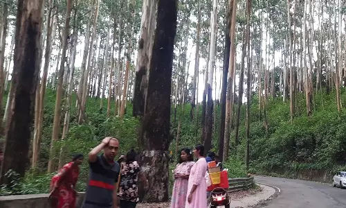 நீலகிரி ஊசிமலை காட்சி முனையில் குவிந்த சுற்றுலா பயணிகள்