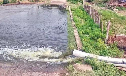 திருவணப்பட்டி ஏரி நீரை வெளியேற்றி மீன் பிடிக்கும் ஒப்பந்ததாரர்