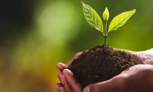 பழ மரக்கன்றுகளை மானியத்தில் பெற இணையதளத்தில் பதிவு செய்யலாம்