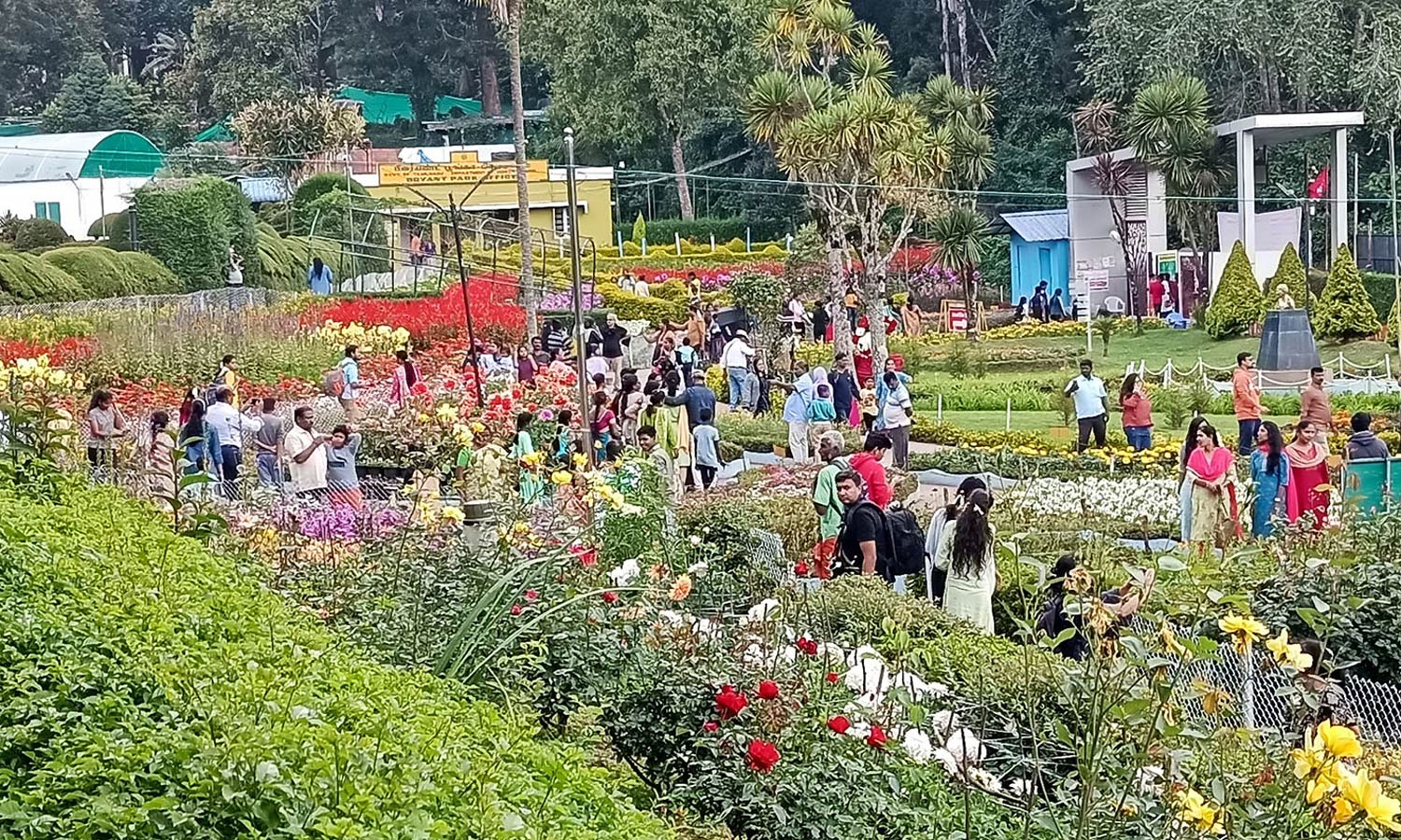 கோடை விழா முடிந்த பின்னரும் கொடைக்கானலில் சுற்றுலா பயணிகள் வருகை அதிகரிப்பு- வியாபாரிகள் மகிழ்ச்சி