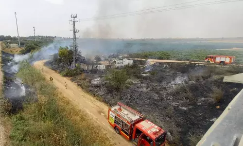 இஸ்ரேலில் வெப்பக்காற்று வீசியதால் 220 இடங்களில் தீ விபத்து