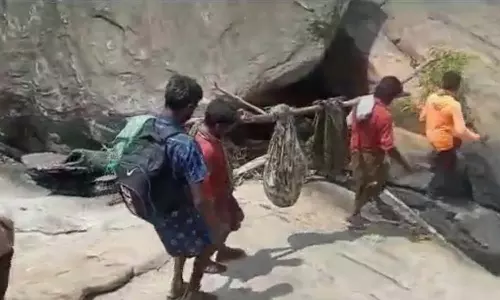 சாலை வசதி இல்லாததால் நோயாளிகளை தொட்டில் கட்டி தூக்கி செல்லும் மலைவாழ் மக்கள்