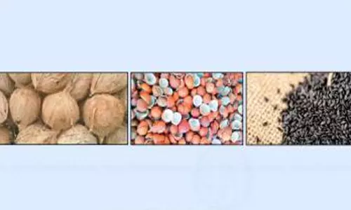 முத்தூா் ஒழுங்குமுறை விற்பனைக்கூடத்தில்  6.70 டன் எள், தேங்காய், கொப்பரை விற்பனை