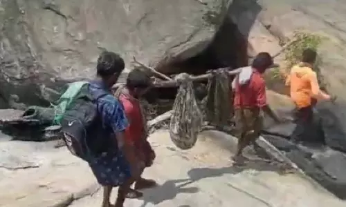 உடுமலை அருகே சாலை வசதி இல்லாததால் நோயாளிகளை தொட்டில் கட்டி தூக்கி செல்லும் மலைவாழ் மக்கள்