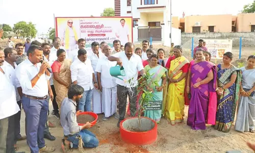 தூத்துக்குடி மாநகராட்சியில் கலைஞரின் 100-வது பிறந்த நாளை முன்னிட்டு மரக்கன்றுகள் நடும் விழா - மேயர் ஜெகன் பெரியசாமி தொடங்கி வைத்தார்