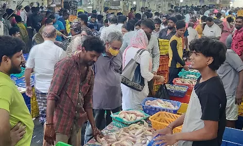 மீன்கள் விலை அதிகரித்தாலும் சென்னையில் மீன் வாங்க திரண்ட பொதுமக்கள் கூட்டம்