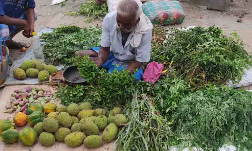 உடுமலை உழவர் சந்தையில் மூலிகை விற்பனைக்கு வரவேற்பு